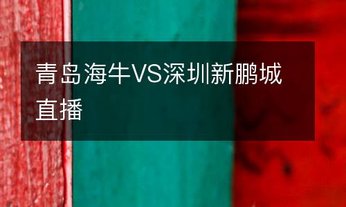 青岛海牛VS深圳新鹏城直播